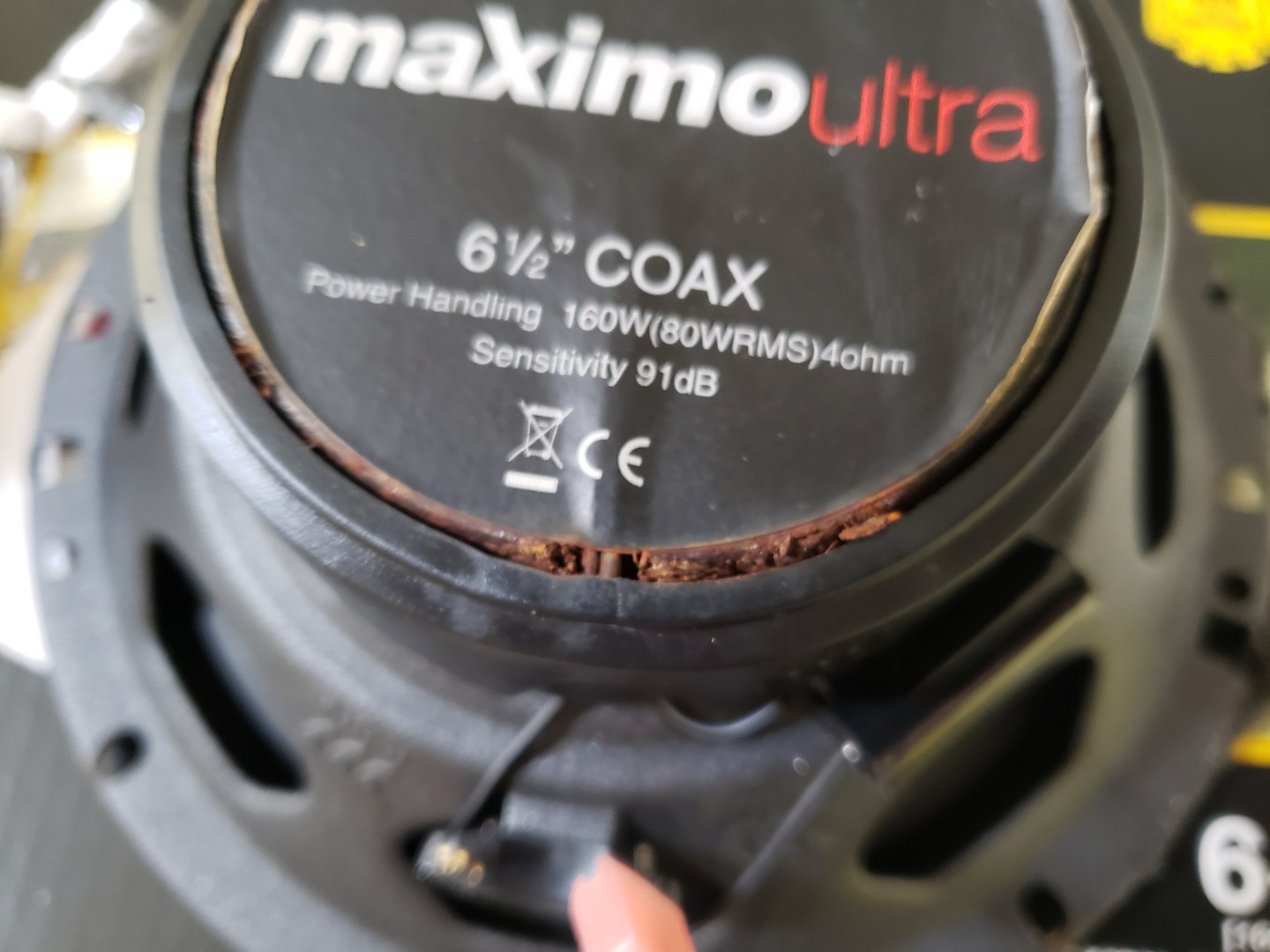 Customer Reviews Morel Maximo Ultra 602 Coax Maximo Ultra Series 61/2