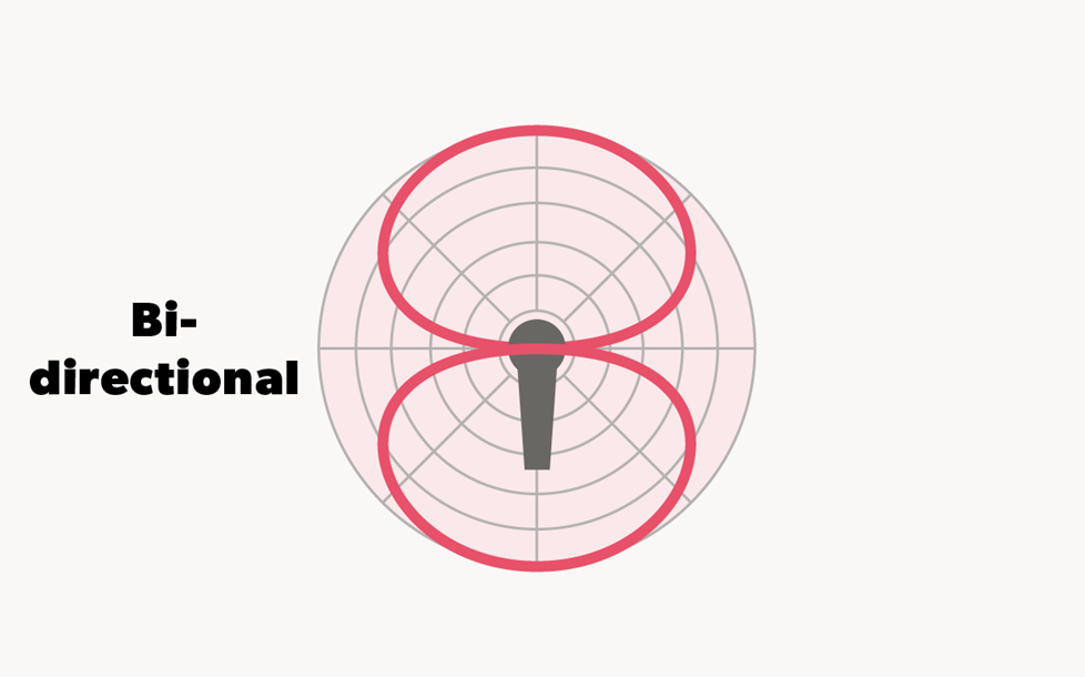 Bi-directional polar pattern graphic