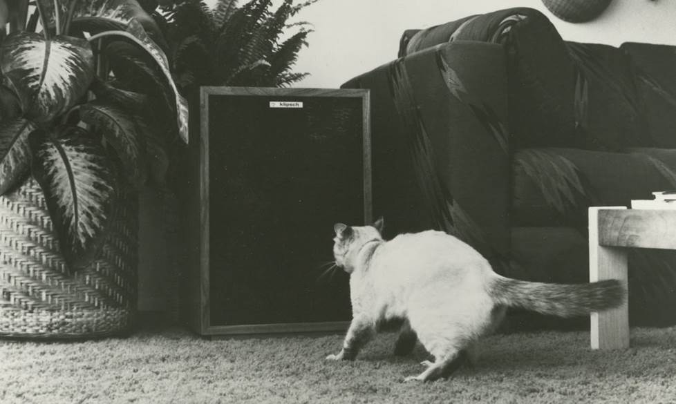 Vintage photo of a cat interacting with an old Klipsch Heresy in a living room with a plant.