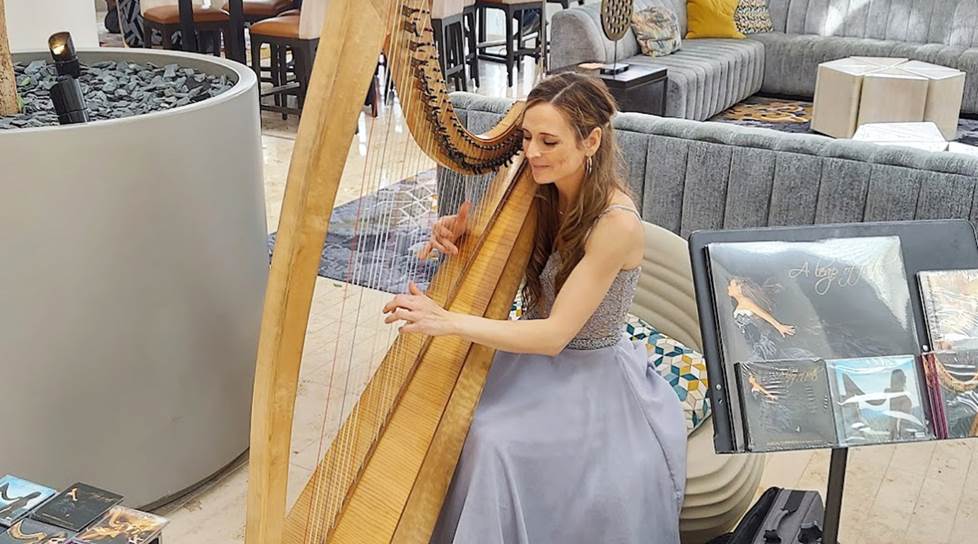 Live harp player