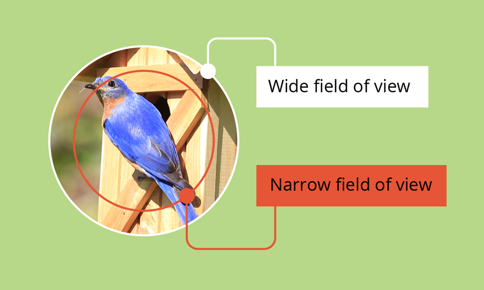 Illustration of field of view
