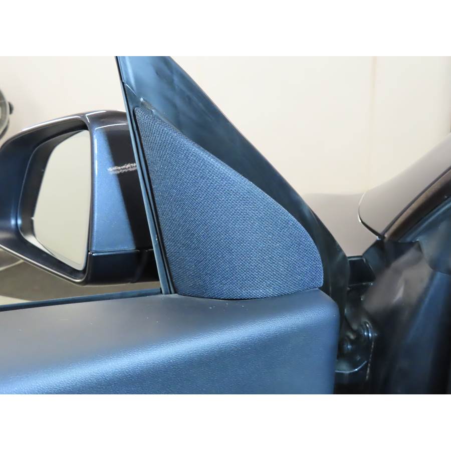 2020 Tesla Model Y Front door tweeter location