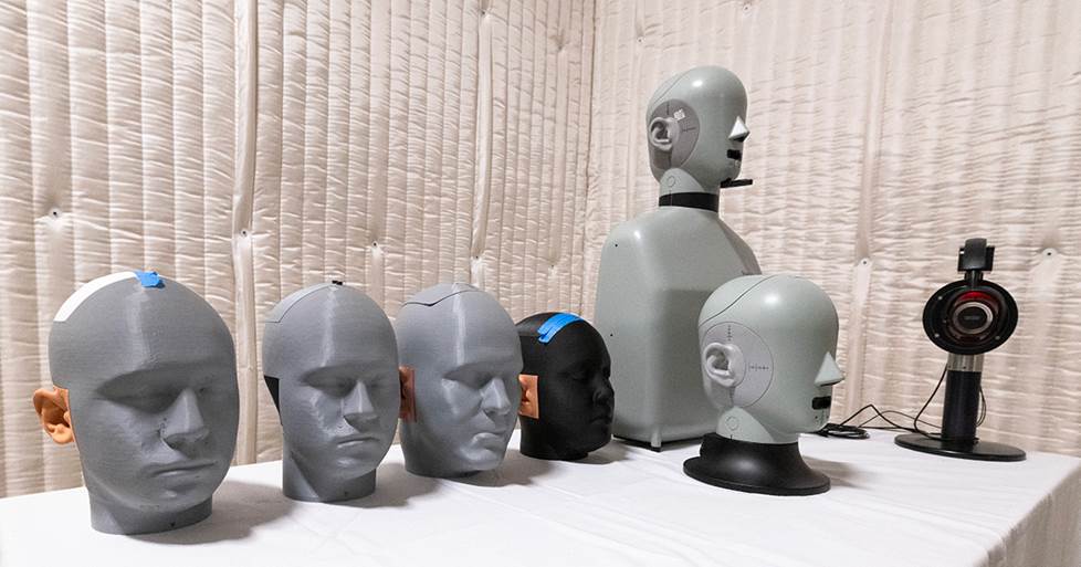 Manakin heads