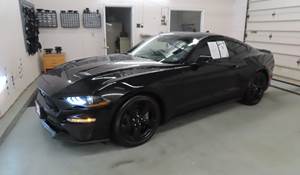 2020 Ford Mustang Exterior
