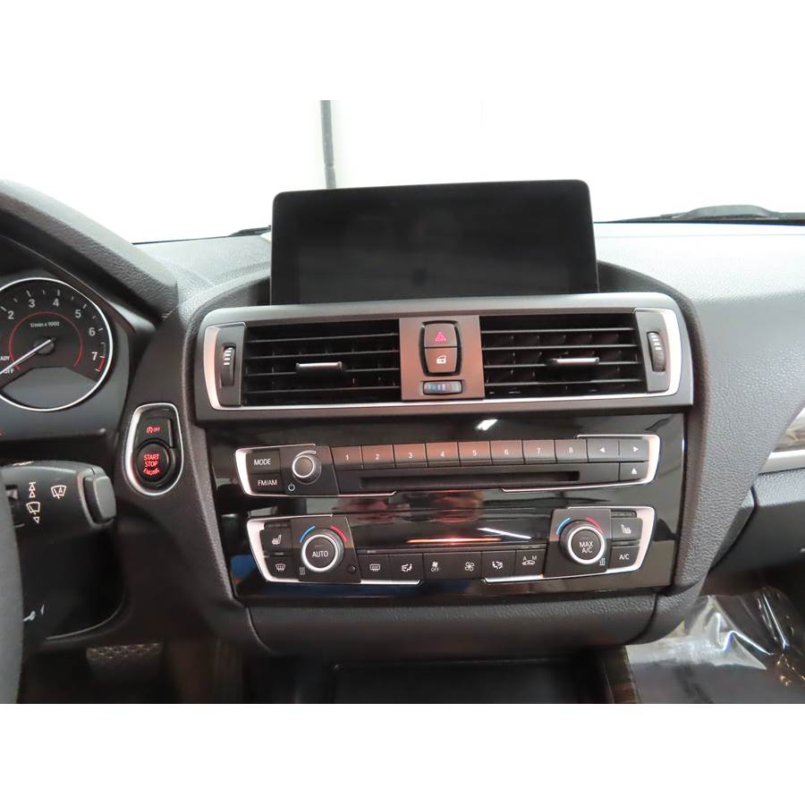 2015 BMW 2 Series Factory Radio