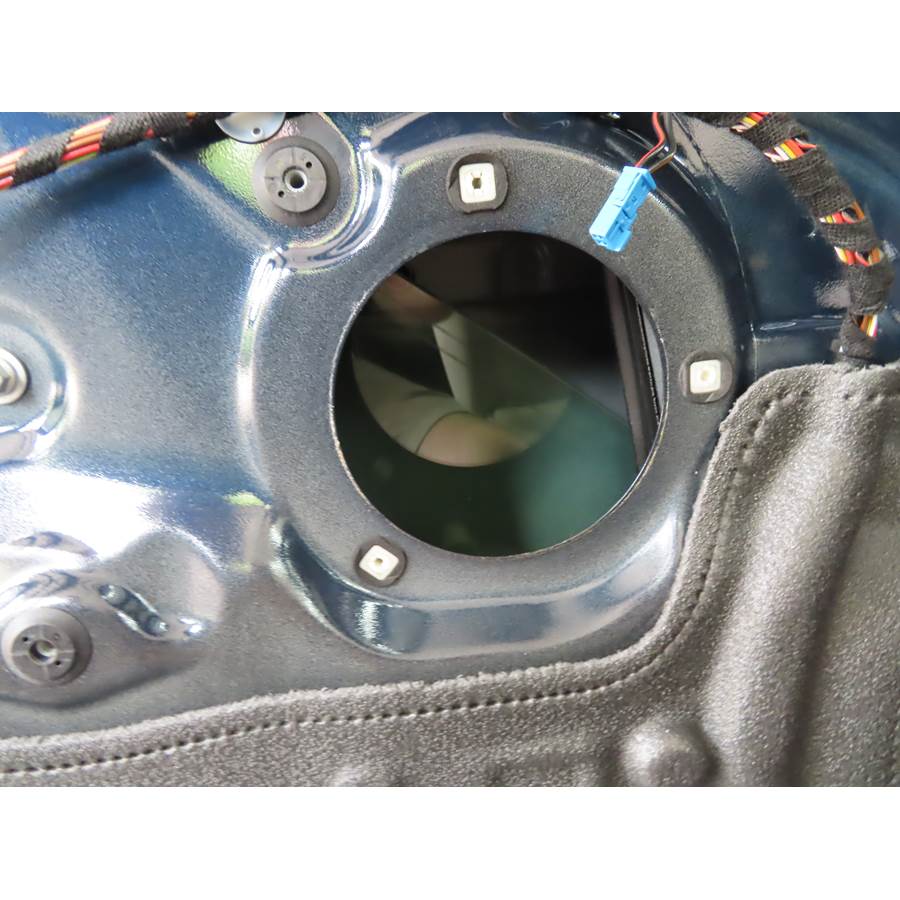 2015 BMW 2 Series Front door midrange removed