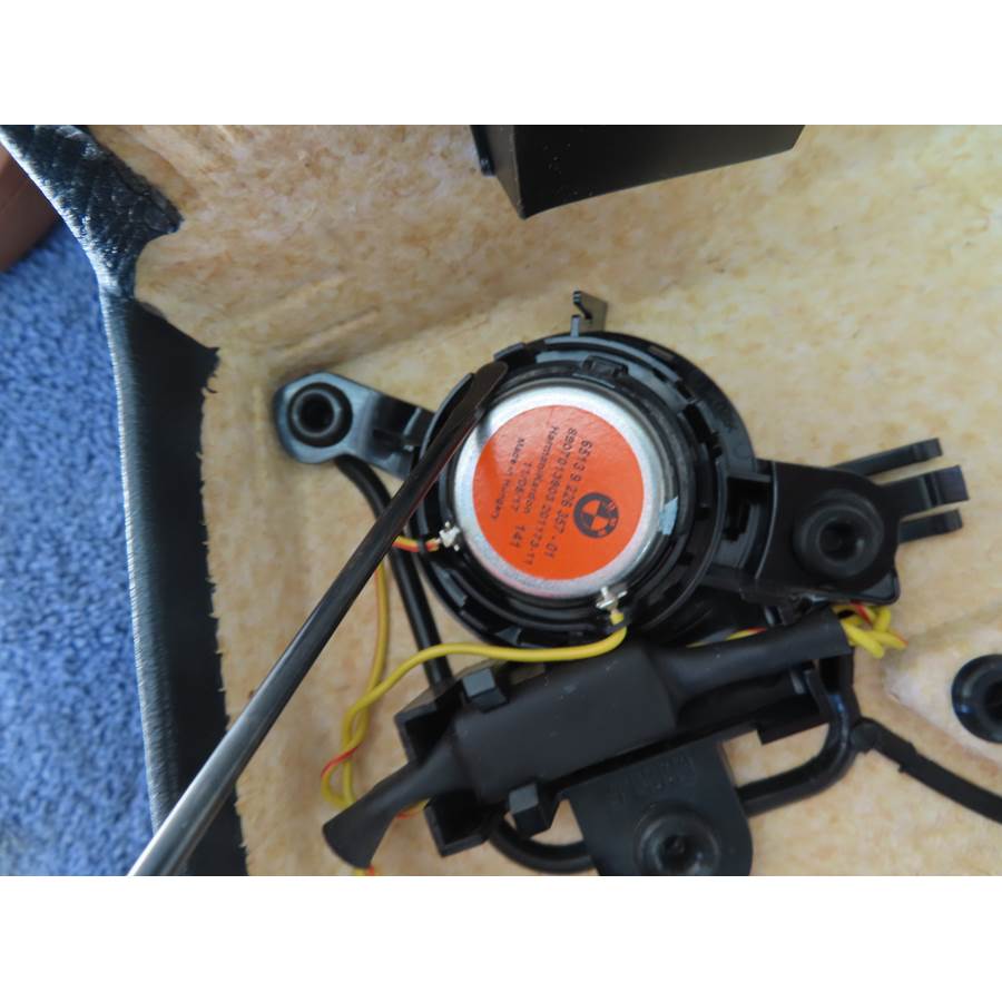 2013 BMW 3 Series Rear door tweeter