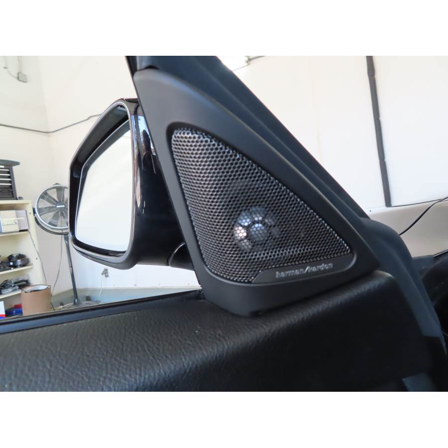 2020 BMW 4 Series Gran Coupe Front door tweeter location