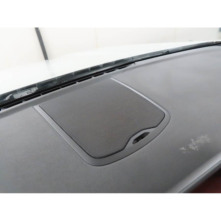 2020 BMW X4 Center dash speaker location