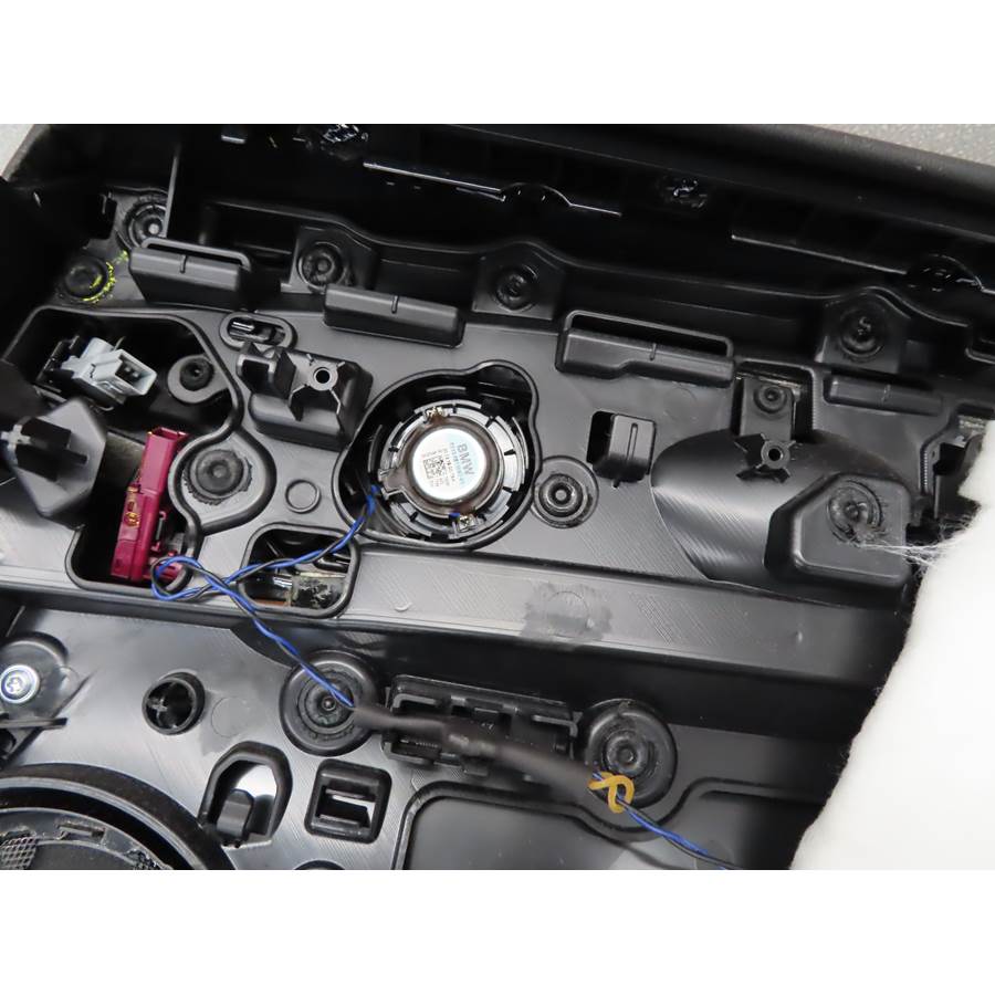 2019 BMW X4 Rear door tweeter