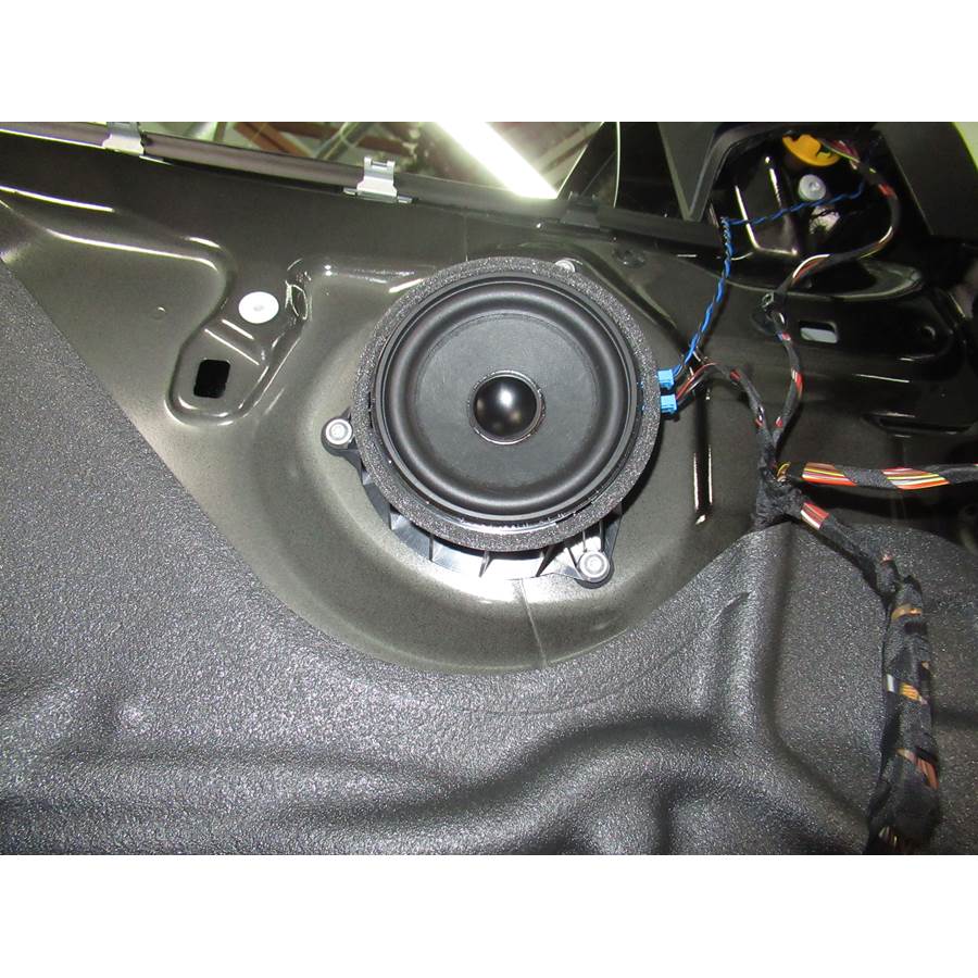 2014 BMW X5 Front door midrange