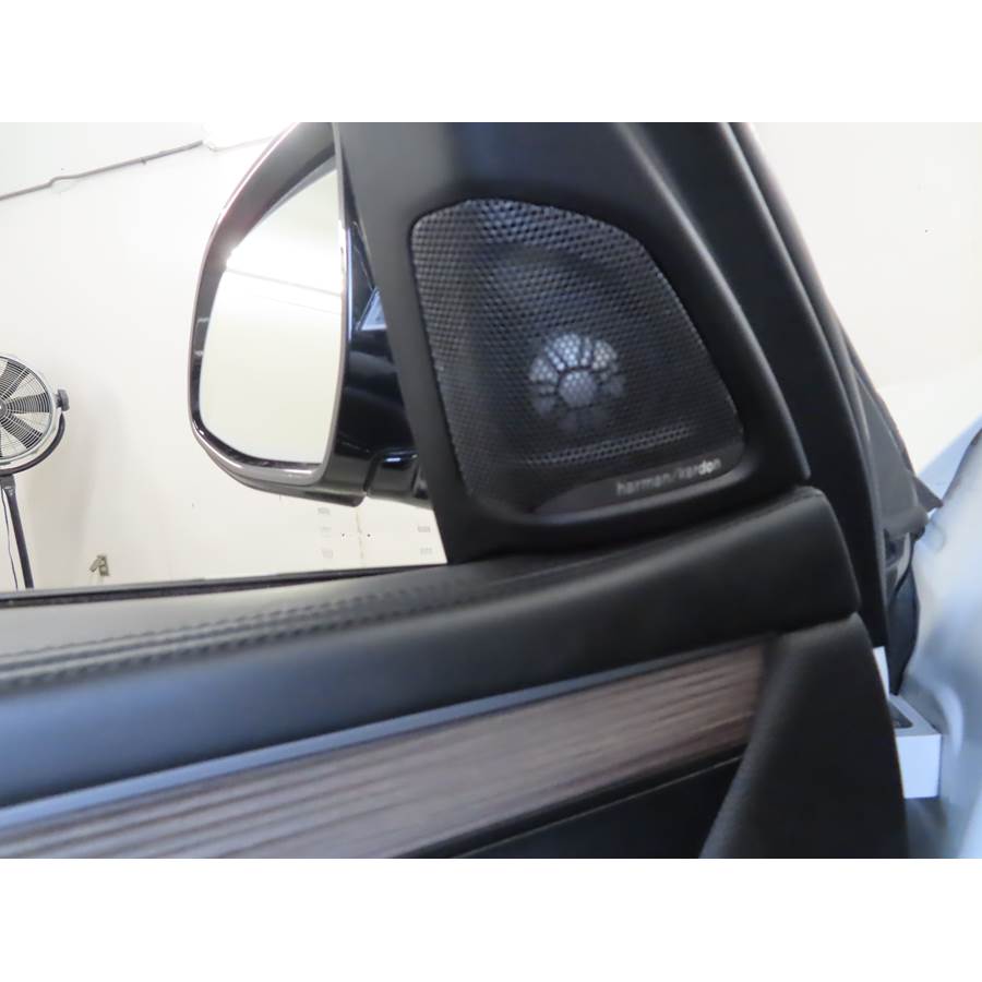 2018 BMW X6 Front door tweeter location