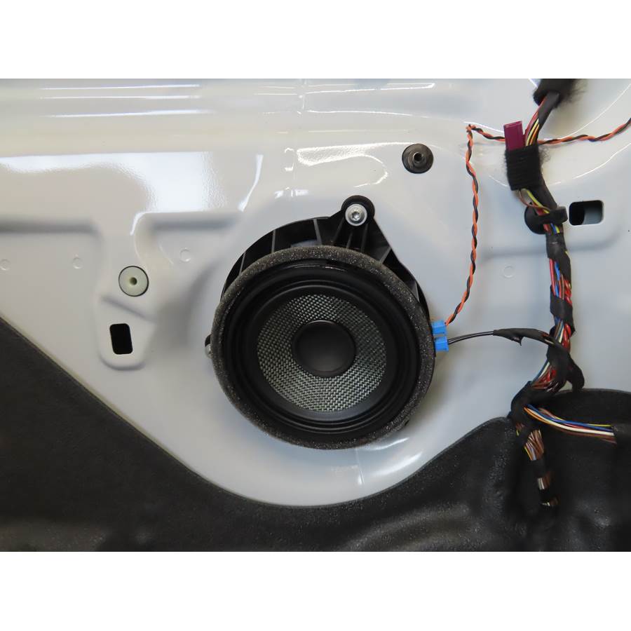 2018 BMW X6 Front door midrange