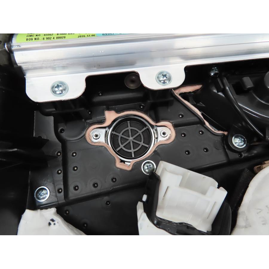 2016 Hyundai Genesis Rear door tweeter removed