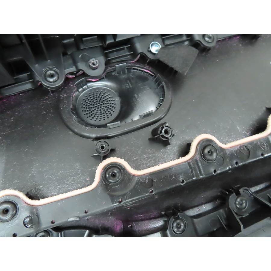 2021 Hyundai Elantra Front door tweeter removed