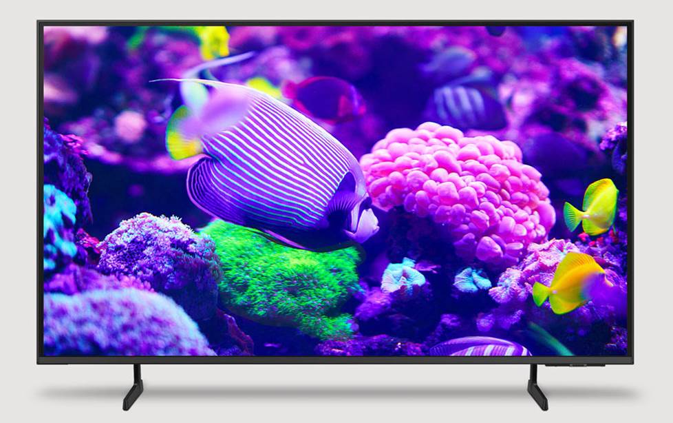 The Samsung TV lineup for 2024