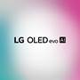 LG OLED48C5PUA From LG: OLED C5