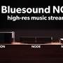 Bluesound NODE ICON Crutchfield: Bluesound NODE streamers