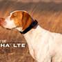 Garmin Alpha LTE From Garmin: Alpha LTE Dog Tracker