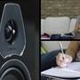 Sonus faber Lumina Center I From Sonus Faber: Lumina