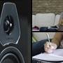 Sonus faber Lumina II From Sonus Faber: Lumina