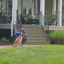 PetSafe Guardian® GPS Dog Fence From PetSafe: Guardian GPS Dog Fence