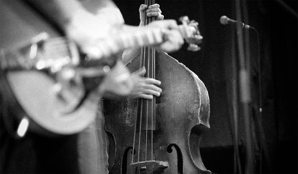 Fender Precision Bass vs Jazz Bass