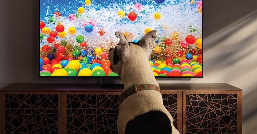 Sony BRAVIA 9II True RGB TV