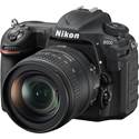 Nikon D500 (no lens included) - With 16-80mm zoom lens