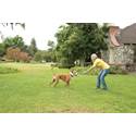 PetSafe Stay+Play® Wireless Fence - Scratch & Dent
