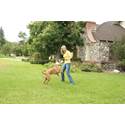 PetSafe Stay+Play Wireless Fence® Rechargeable Collar - New Stock