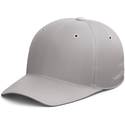 WAATR Baseball Cap - Gray