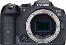 Canon EOS R7 (no lens included) 32.5-megapixel APS-C sensor