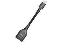 AudioQuest DragonTail USB-C Adapter