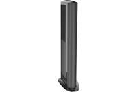 GoldenEar Triton One.R