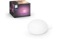 Philips Hue Flourish White and Color Ambiance Light (800 lumens)