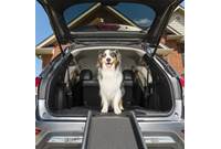 PetSafe® Happy Ride™ Folding Dog Ramp