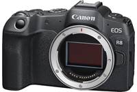 Canon EOS R8 (no lens included)