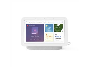 Voice Control Assistants