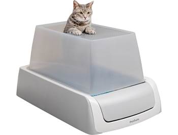 Technology for Cats