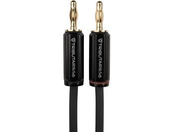 Speaker Wire