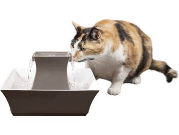 Pet Feeders & Water Fountains
