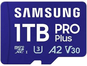 SD Memory Cards