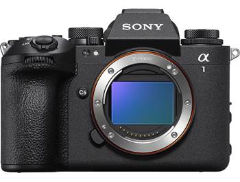 Mirrorless Cameras