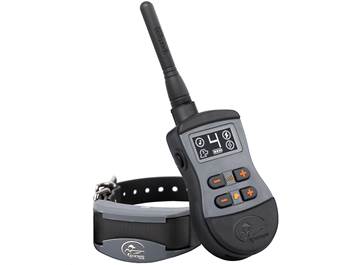 Dog Training & Bark Collars