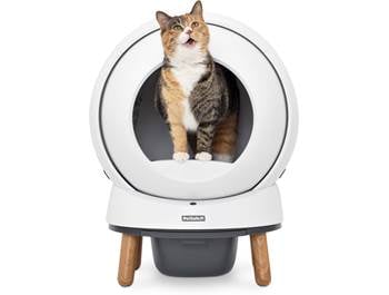 Technology for Cats