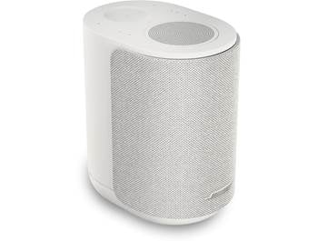 Surround (Rear) Speakers