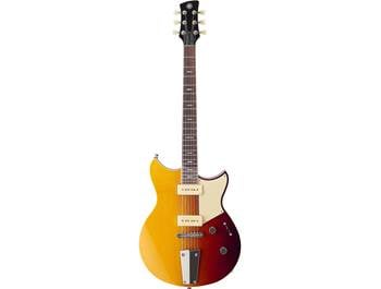 Electric Guitars