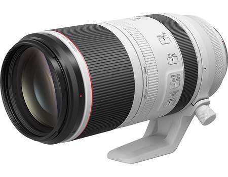 Canon RF 100-500mm f/4.5-7.1 L IS USM L-series super telephoto