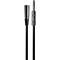 RapcoHorizon XLR to 1/4